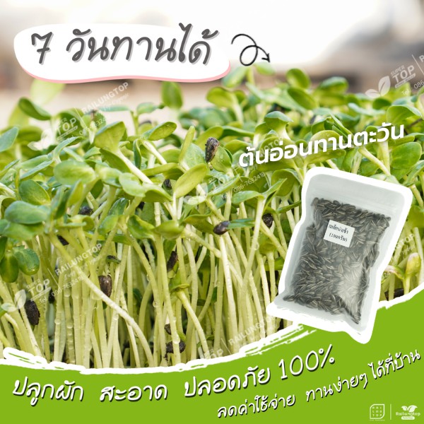 My Image 33