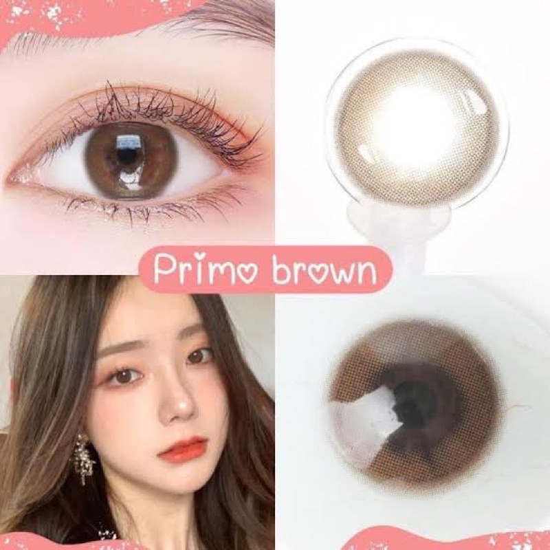 ✨ Mini primo brown (Kitty Kawaii) ขนาดมินิ mini ☀️กรองแสง uv ✔️เลนส์แท้จดทะเบียนถูกต้อง (บิ๊กอาย คอนแทคเลนส์ Bigeye