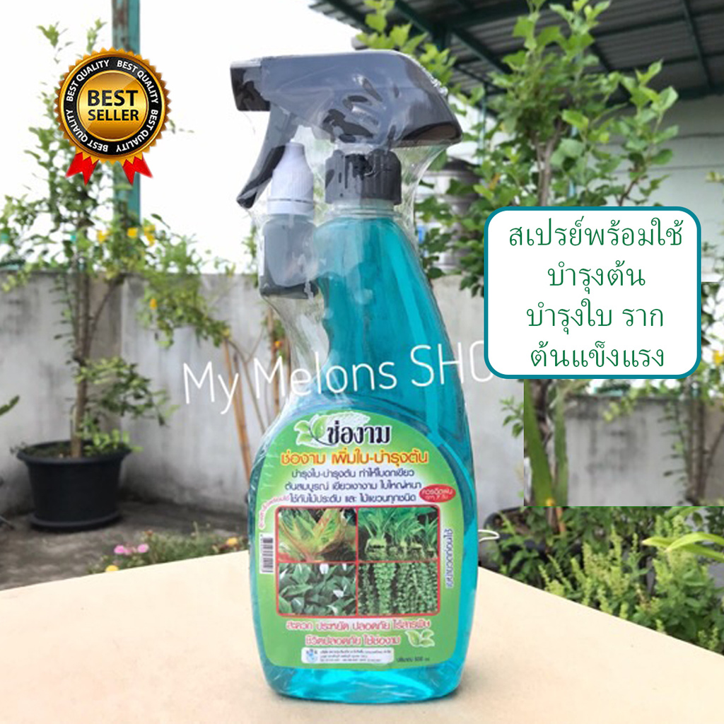 ฮอร์โมนสูตรบำรุงใบ บำรุงต้น เร่งใบ เร่งต้น ขวดสเปรย์ผสมพร้อมใช้ 500ml ตราช่องาม !!แถมฟรีหัวเชื้ออีก1ขวด