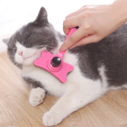 Chok แปรง ""มีปุ่มกดเพื่อดันขนออก"" แปรงขนสุนัข แมว เพื่อทำความสะอ Pet comb