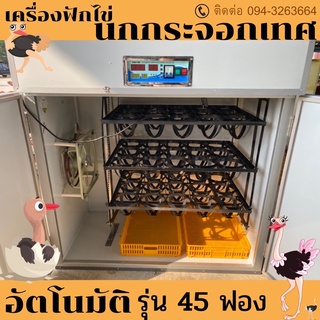 เครื่องฟักไข่นกกระจอกเทศ อัตโนมัติ รุ่น 45 ฟอง อย่างดี-หนา-ทนทานมาก ทำจากเมทัลชีทหนา 2นิ้ว กลัขไข่ คุมความชื้น อัตโนมัติ