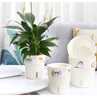 S-Garden กระถางรดน้ำอัตโนมัติ มาใหม่ลายน้องแมวเหมียวสุดน่ารัก เอาใจคนรักน้องแมว