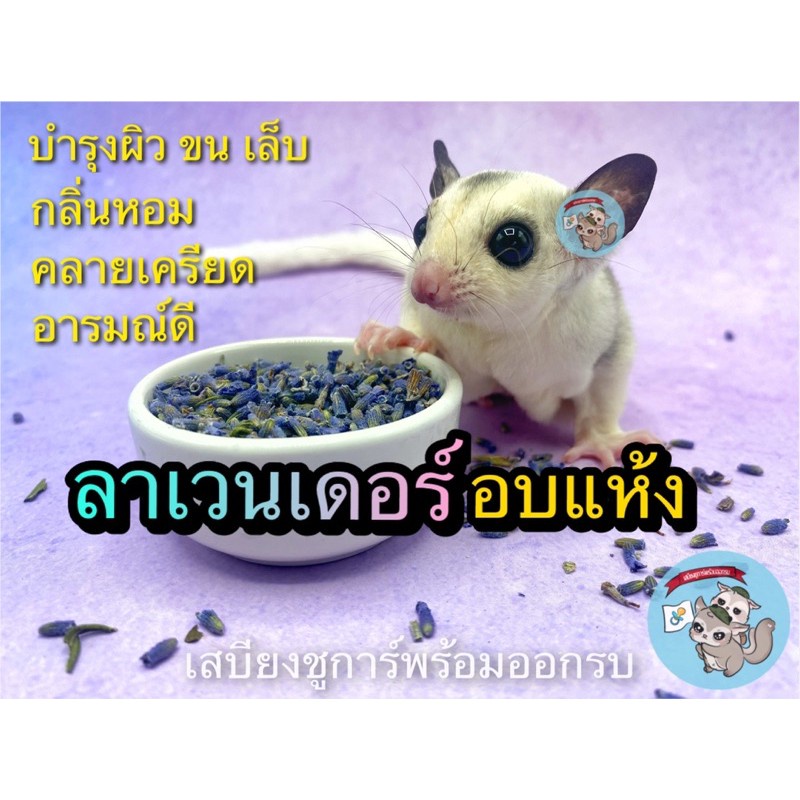 My Image 27