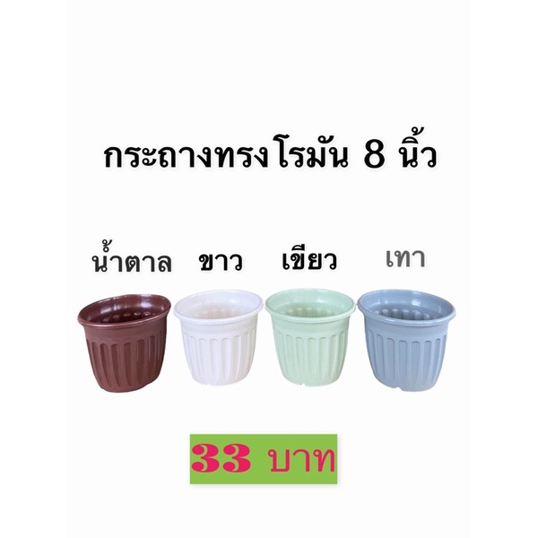 กระถาง ขนาด 8 นิ้ว ทรงโรมัน พลาสติกเนื้อหนา แข็งแรง ทนทาน