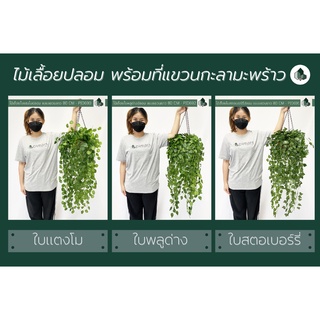 ไม้เลื้อยปลอม ไม้เลื้อยตกแต่ง ยาว 80 CM แบบแขวน  พร้อมกระถางกะลาใยมะพร้าว