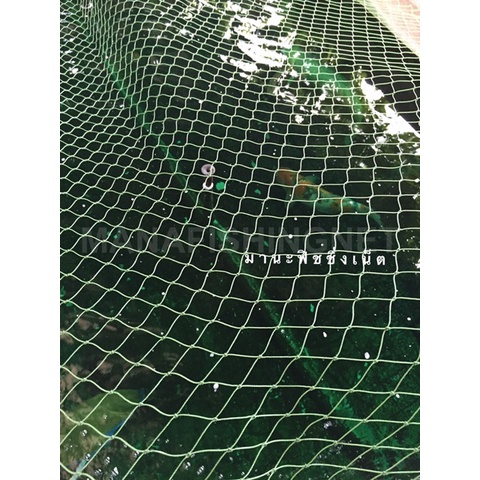 ตาข่ายคลุมบ่อปลา UV Protection ตาข่ายป้องกันบ่อปลา ขนาด 2x15 เมตร