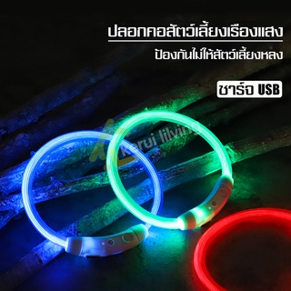 ปลอกคอสุนัขเรืองแสง ปลอกคอสุนัข ชาร์จไฟ USB อุปกรณ์สัตว์เลี้ยง ปลอกคอสัตว์เลี้ยง แฟชั่น ปรับได้ ปลอกคอหมา pet collar