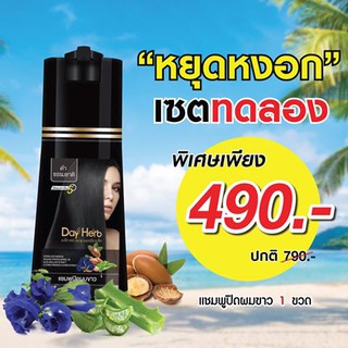 DayHerb  แชมพูปิดผมขาว สมุนไพรแท้ ปิดหงอก ลดหงอก ใน 5 นาที