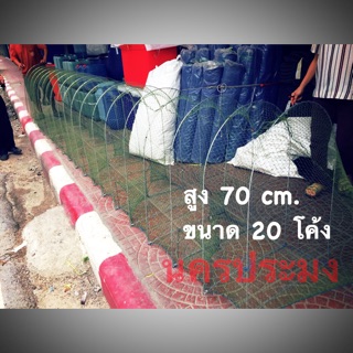 คอนโดดักปลา รถไฟดักปลา ไซดักปลา สูง 70 cm.ขนาด 20 โค้ง