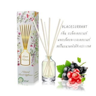 น้ำหอมไม้ปักอโรม่า กลิ่น blackcurrant : scent nature