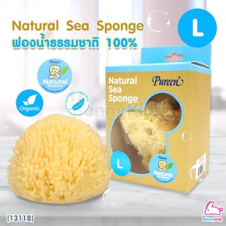 (13118) Pureen (เพียวรีน) Natural Sea Sponge ฟองน้ำธรรมชาติแท้ 100% ไซส์ L