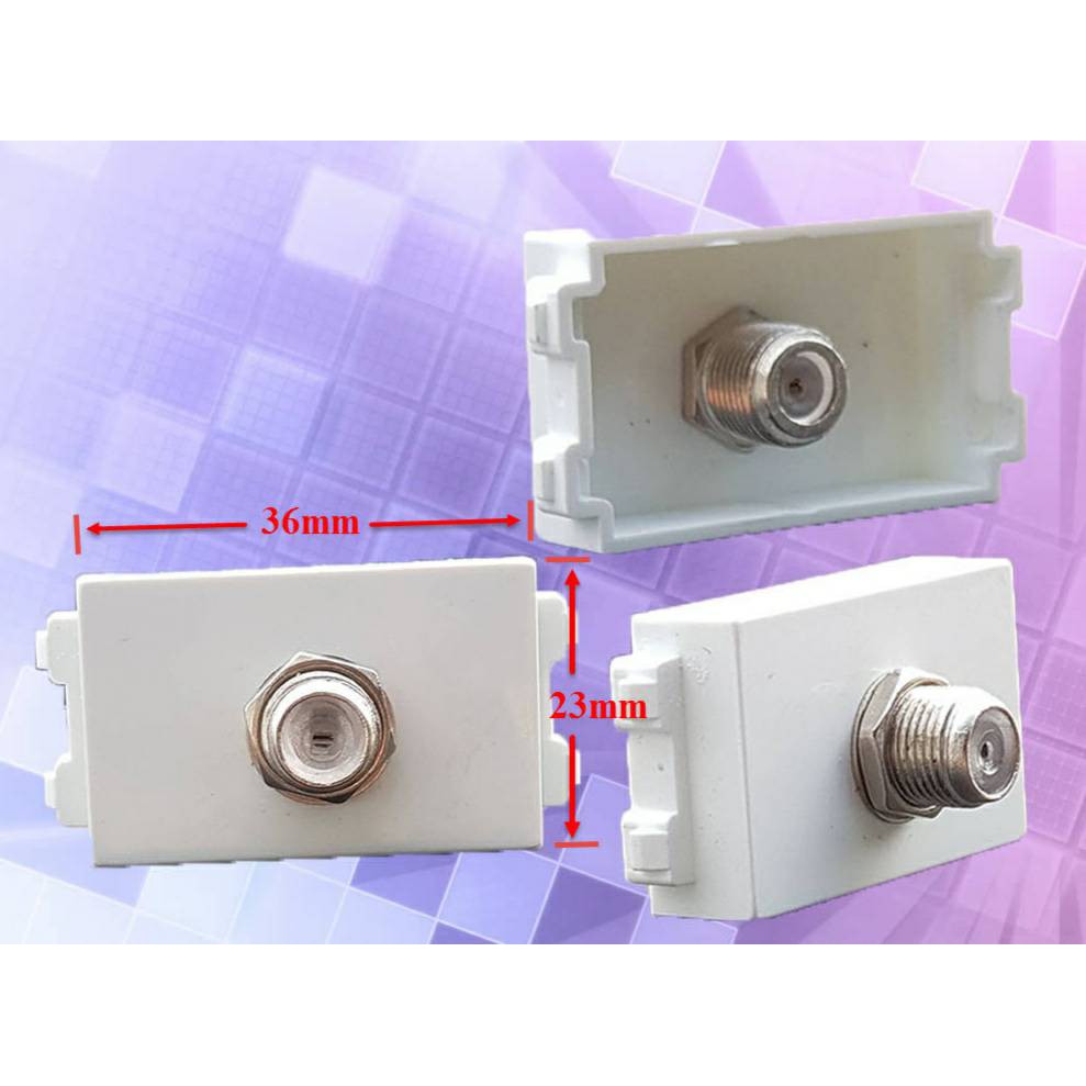 เอ้าท์เล็ตผนัง Outlet  F81