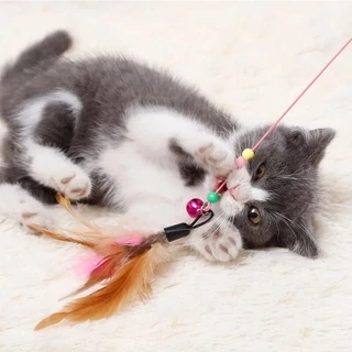 🐱ไม้ล่อแมวแบบขนนก ของเล่นแมว ไม้ตกแมวแบบสปริง แบบลวดสลิง ของเล่นแมว