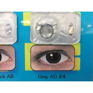 BLOOM ALICE บลูม อลิซ รายเดือน แบบสี