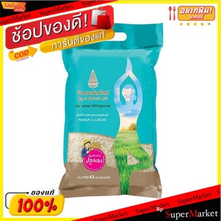 ✨โดนใจ✨ ฉัตรไลท์ ข้าว กข.43 ข้าวสาร ขนาด 5กิโลกรัม 5kg ข้าว, เส้นก๋วยเตี๋ยว, เส้นพาสต้า อาหาร อาหารและเครื่องดื่ม