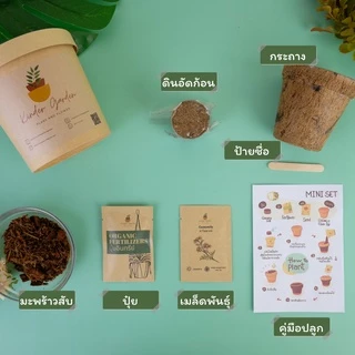 ชุดปลูกดอกไม้ ชุดพร้อมปลูก ชุดของขวัญ Mini set