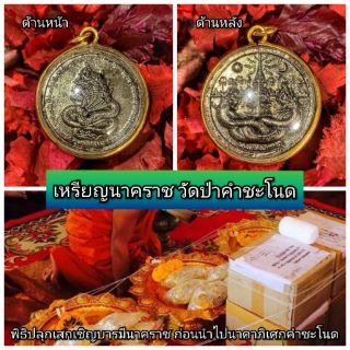 เหรียญนาคราช วัดป่าคำชะโนด จ.อุดรธาดี