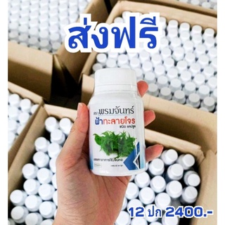 ฟ้าทะลาย โจร 60แคปซูน 12 กป 2400บาท