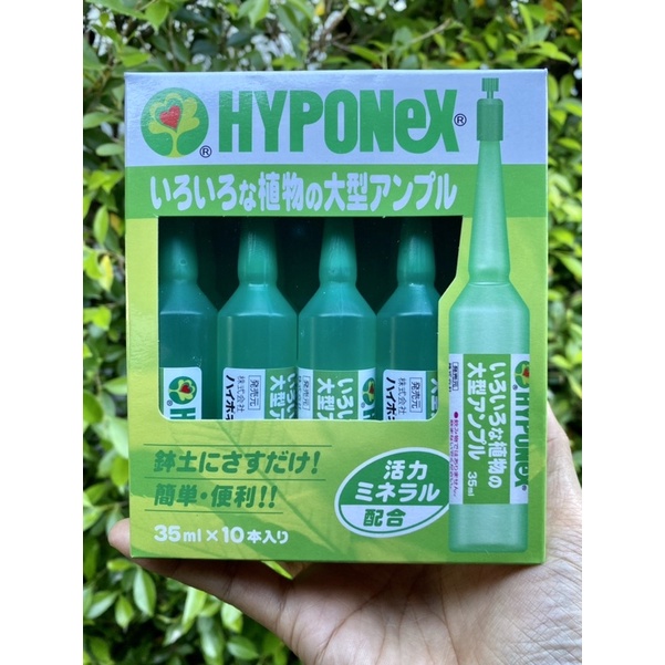 (บำรุงไม้ใบ) Hyponex Ampoule สีเขียวเข้ม สูตรเหมาะกับ ไม้กระถาง ไม้ใบ ใบด่าง บอนสี ไฮโปเนกซ์ แอมเพิล ปุ๋ยน้ำ ปุ๋ยปักดิน