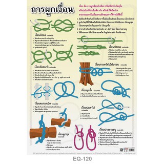 โปสเตอร์ วิธีการผูกเงื่อน #EQ-120 โปสเตอร์กระดาษอาร์ตมัน สื่อการเรียนการสอน สื่อการเรียนรู้