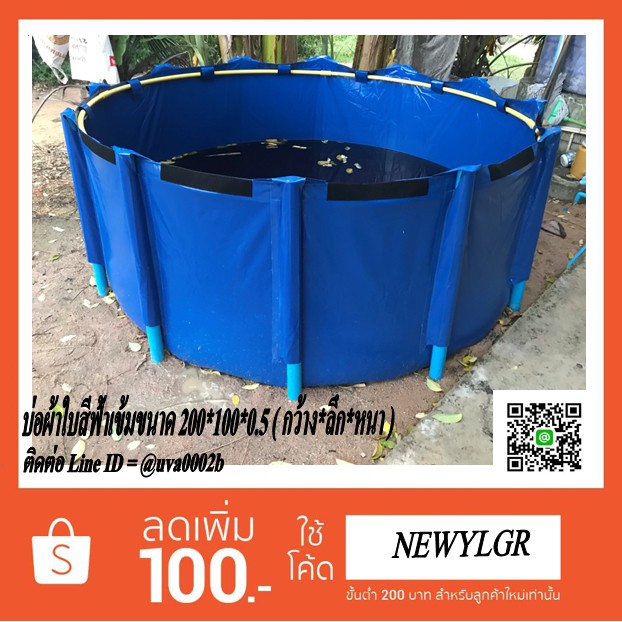 My Image 31