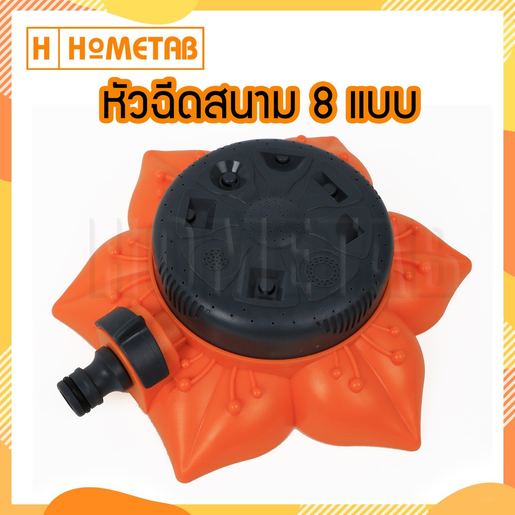 My Image 41
