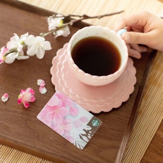 Starbucks sakura Pink Blossom with Saucer Mug  6 oz 850฿