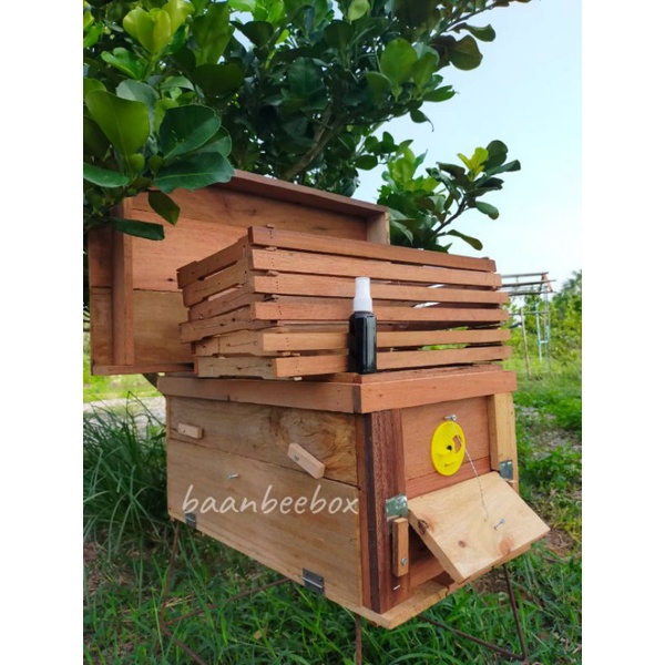 กล่องเลี้ยงผึ้งโพรงป่าพร้อมคอนสามสาย6คอนและฟีโรโมน.1ขวด