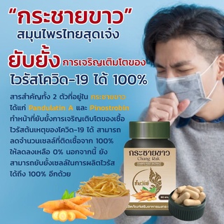 กระชายขาวออร์แกนิค 60 แคปซูล สกัดเข้มข้น กระชายขาวล้วน 500mg มี อย.ปลอดภัย รับรองของแท้ พร้อมส่ง!!!