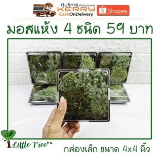 มอสแห้งกล่องเล็ก บรรจุ 4 ชนิด ขนาดและปริมาณของสินค้าตามที่ระบุไว้ อ่านก่อนสั่งซื้อ