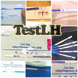 ที่ตรวจครรภ์แบบจุ่ม ที่ตรวจครรภ์ ตรวจครรภ์
