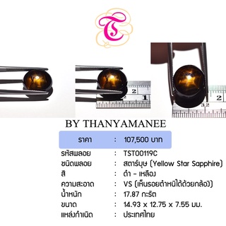 พลอยสตาร์บุษ  Yellow Star Sapphire ขนาด  14.93x12.75x7.55 มม. พลอยแท้ มีใบรับรอง