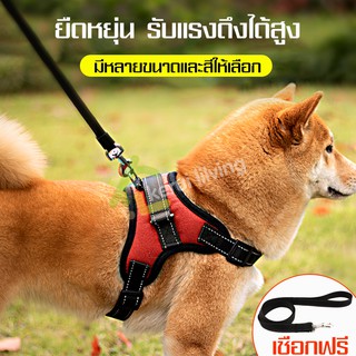 ชุดสายรัดตัว ปลอกคอสุนัข ชุดสายจูงสุนัข สายลากจูงสุนัข ชุดรัดอกพร้อมเชือกจูง สายคล้องคอสุนัข