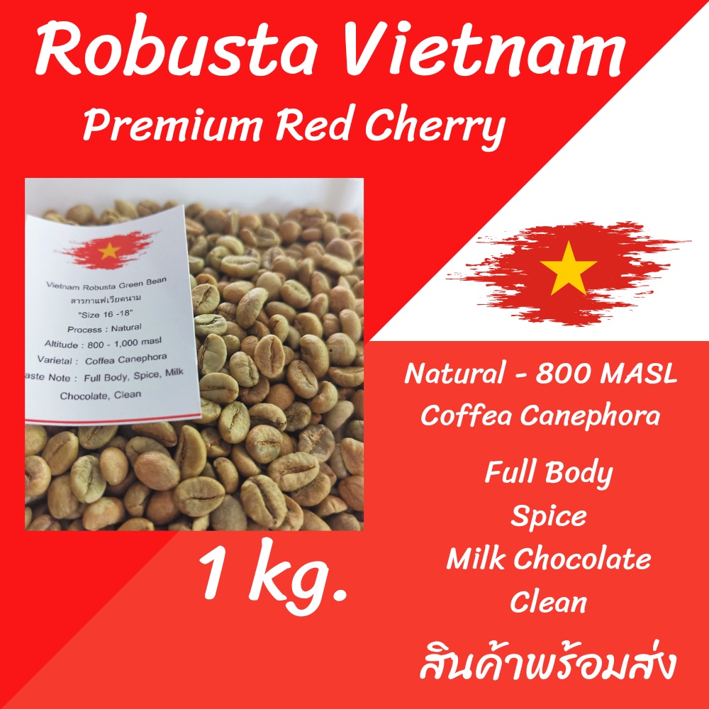 สารกาแฟ โรบัสต้า เวียดนาม พรีเมียม เรดเชอรี่ Vietnam Robusta Green Bean