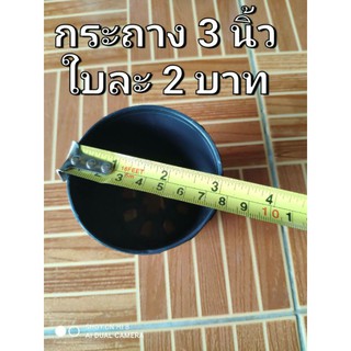 กระถาง 3 นิ้ว แบ่งขายปลีก