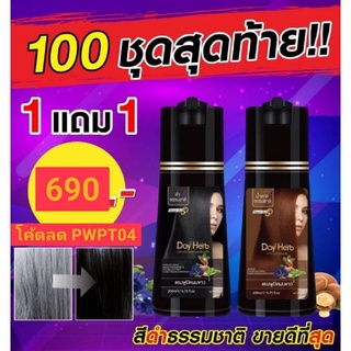 Dayherb แชมพูปิดผมขาว