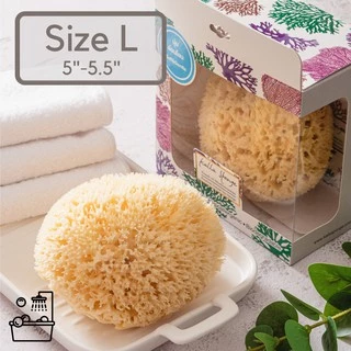 KALLA SPONGE ฟองน้ำธรรมชาติ ชนิด Honeycomb สีเหลือง ฟองน้ำ สำหรับอาบน้ำเด็กและทารก