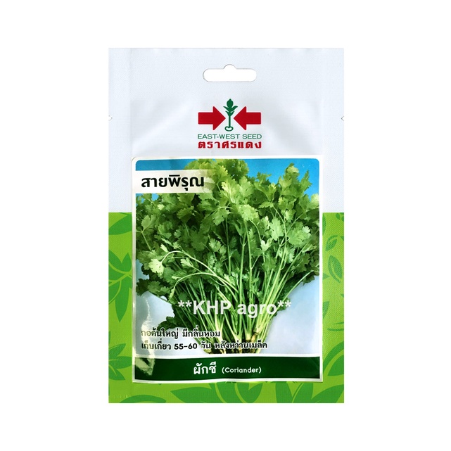เมล็ดพันธุ์ ผักชี / หอมป้อม เจียไต๋ ศรแดง สิงโต (ซอง) เมล็ดพันธุ์ใหม่ คุณภาพดี การันตีความงอก - รูปที่ 3