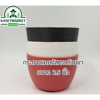 กระถางแคคตัสทรงถ้วยชา สีดำ สีอิฐ สีขาว 2.5 นิ้ว no.001