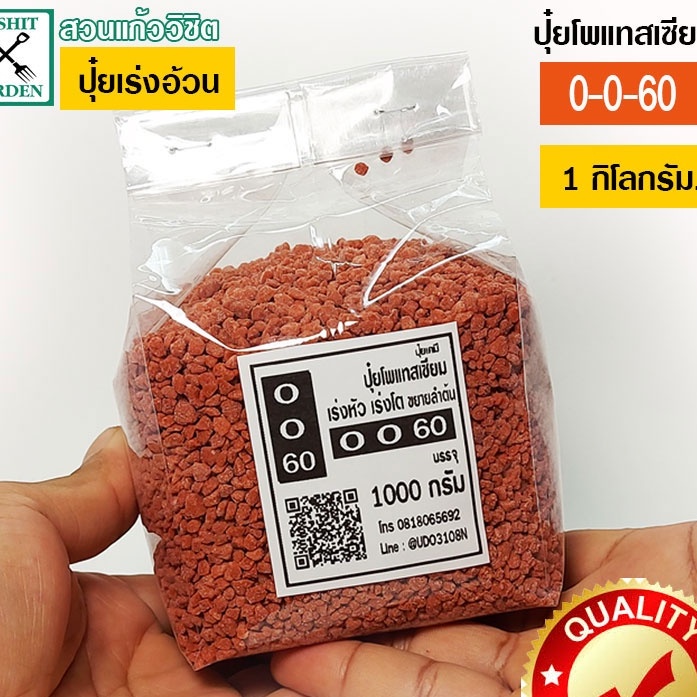 ปุ๋ยโพแทสเซียม 1ถุงบรรจุ 1 กิโลกรัม สูตร เร่งหัว 0-0-60 เร่งอ้วนในชวนชม และพืชไรและผลไม้