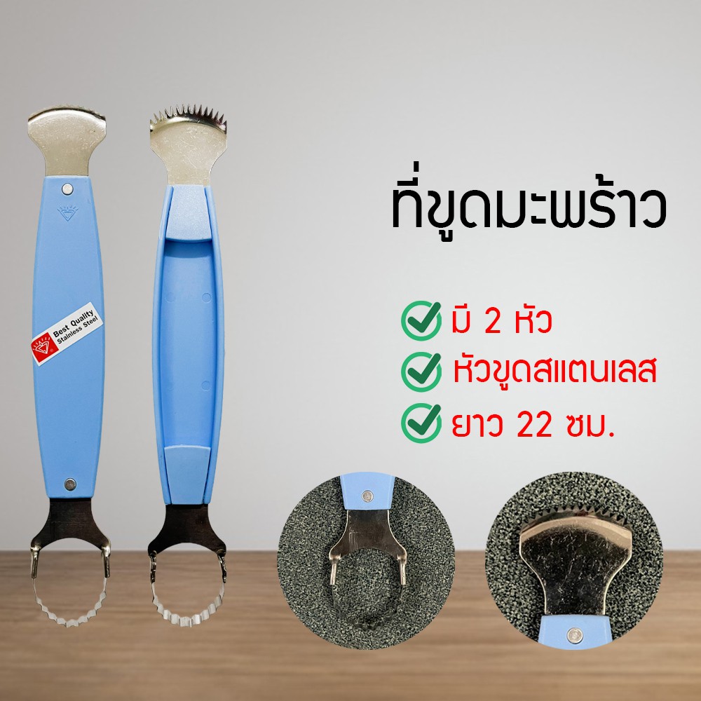 ที่ขูดมะพร้าว มือแมว ขูดมะพร้าว อุปกรณ์ เบเกอรี่ ขูดมะพร้าว ขูดมะละกอ ขูดอเนกประสงค์ – โปรปัง