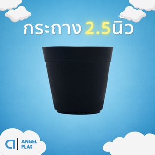 กระถางต้นไม้ กระถางกระบองเพชร
กระถางแคคตัส
2.5 นิ้ว สีดำ