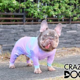 ชุดเก็บขนCrazydog Galaxy