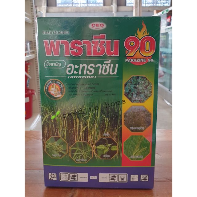 🌽🌱ยาคุมหญ้าในสวนข้าวโพด สวนอ้อย อะทราซีน90