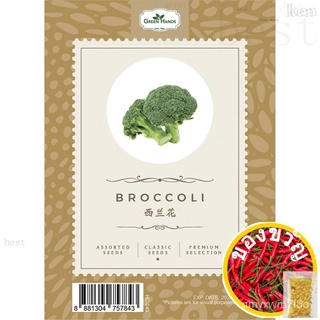 Green Hands Assorted Seeds - Broccoli [HC-249] บ้านและสวน/เมล็ด/ดอกไม้/สร้อยข้อมือ/ดอกทานตะวัน/หมวก/แอปเปิ้ล/กุหลาบ/ผักช