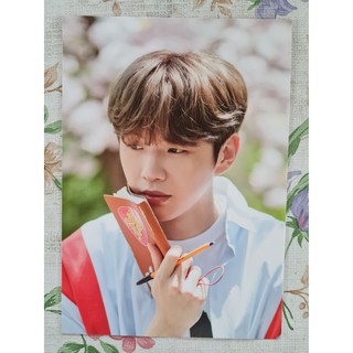 [แท้/พร้อมส่ง] โปสการ์ด คังแดเนียล Kang Daniel The 1st Art Book Never Standing Still Postcard Vibrant ver.