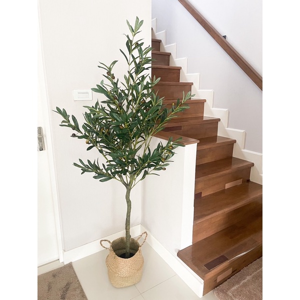ต้นมะกอกปลอมพรีเมี่ยม Olive Tree 120cm