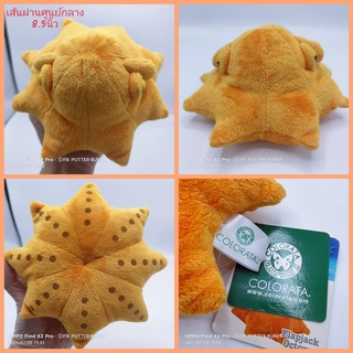 ตุ๊กตา ปลาหมึกยักษ์แฟลปแจ็ค (flapjack octopus) น่ารักมากที่สุดในโลก ขนาด8.5นิ้ว ป้ายห้อยColorata ลิขสิทธิ์แท้ ราคาแพงมาก