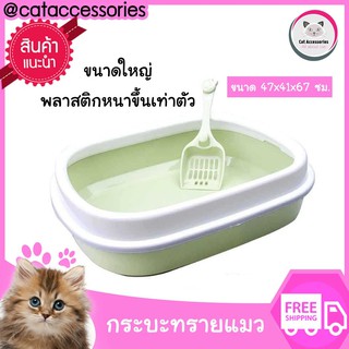 Cat Accessories กระบะทราย อุปกรณ์สำหรับขับถ่ายของแมว ใช้ได้กับแมวทั่วไป กระบะทรายแมวพร้อมช้อนตัก ขนาด 47x39x13 ซม. มี3สี