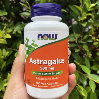 อึ้งคี้ Astragalus 500 mg 100 Veg Capsules (Now Foods®) ปักคี้, ปักอึ้งคี้ หรือ หวงฉี สมุนไพรบำรุงกำลัง ตำรับโบราณจีน